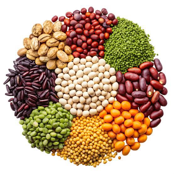 عسل البرسيم